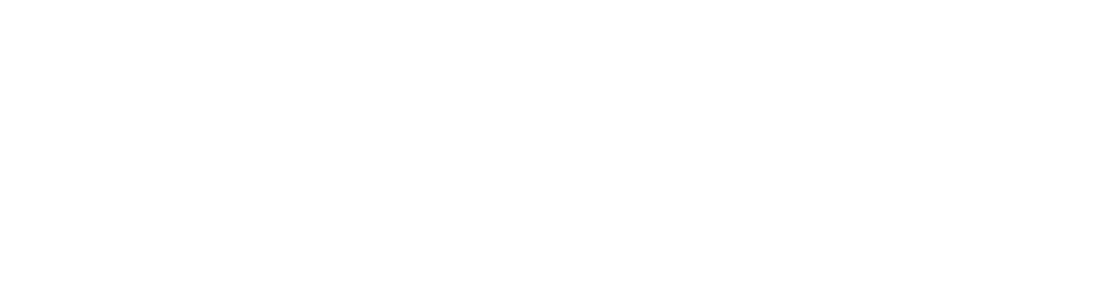 Miles & More Partner