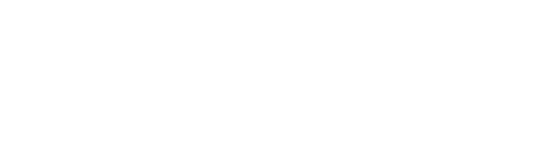 Miles & More Partner